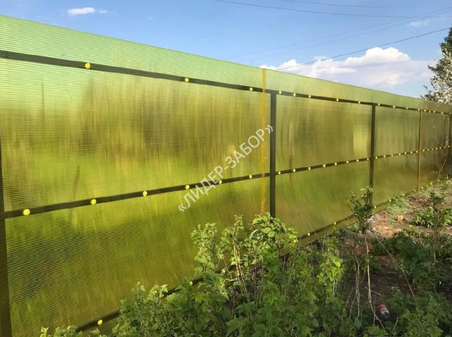Купить Забор из поликарбоната для дачи цвет RAL 1018