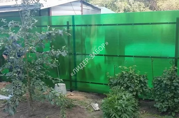 Купить Забор из поликарбоната для дачи зеленого цвета